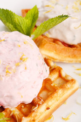 Waffle, whip and mint