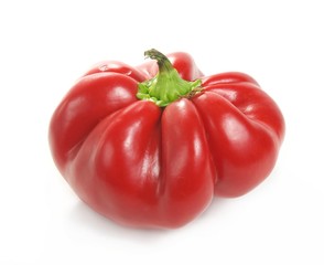 bulgarian Red pepper over white