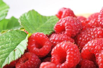 Ripe red raspberries