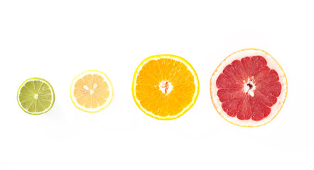 lime, lemon, orange and grapefruit