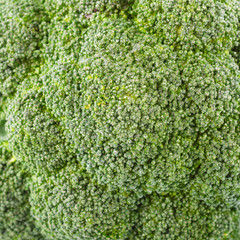 Detail shot of broccoli