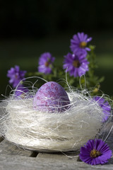 Easter purple egg in the nest