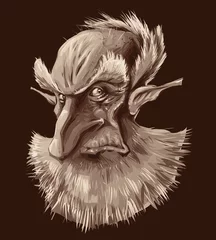Rollo Ancient elf portrait. Vector illustration, isolated object © ddraw