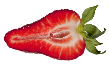 Erdbeere