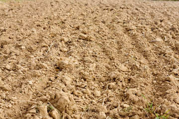 Plowed fertile soil