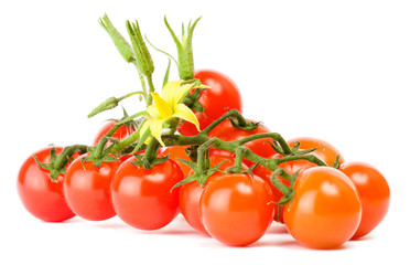 Cherry tomatoes on white background