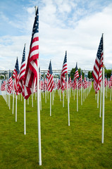 Rows of American flags