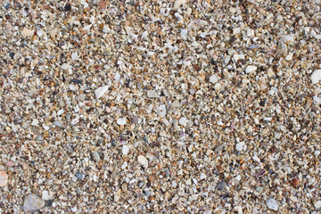 Sand from seashell