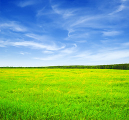 Obraz premium landscape