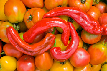 Peppers and tomatoes 4
