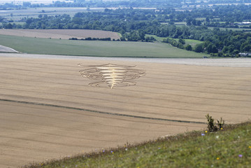 Obraz premium Crop circle in corn field. Wiltshire. England