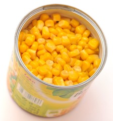 corn isolé