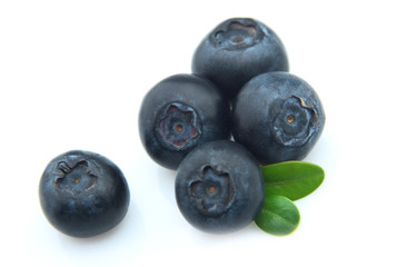 Ripe bilberry