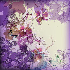 vector background with hand drawn blooming orchids