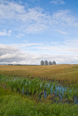 Four grain bins stand in the distance on a prairie field