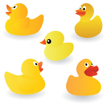 vector set of yellow rubber duck on the white background