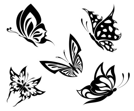 Set  black white butterflyes of a tattoo