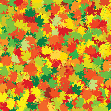 colorful leaves - yellow, orange, green, brown, red