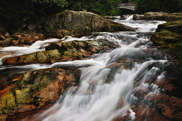 The river Bear Creek