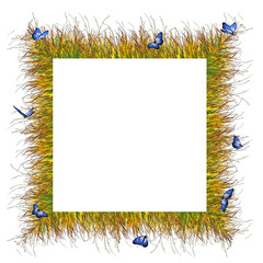 Cadre champêtre orné de papillons bleus © imagika