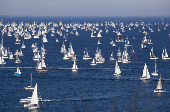 La Barcolana a Trieste