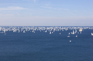 La Barcolana a Trieste