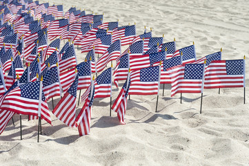 Stars & Stripes