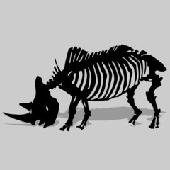 rhino skeleton vector © sindjelicmilos73