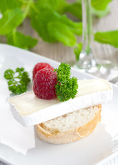 Appetizer mit Käse