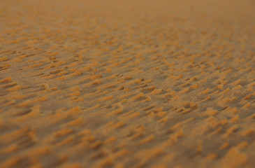 Moroccan desert: sand