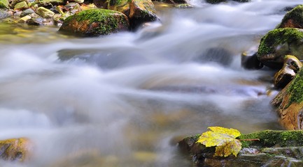 Fluir del Oto&ntilde;o