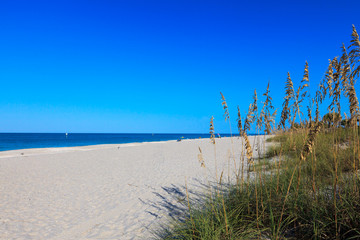 Beach, blue sky, sand