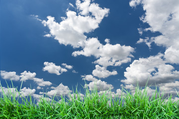 Blue Sky and green grass