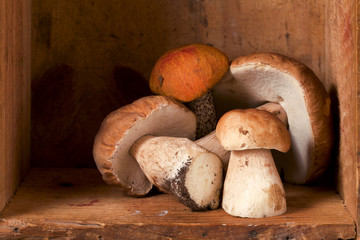still life with white forest boletus mushrooms on wooden box, sh