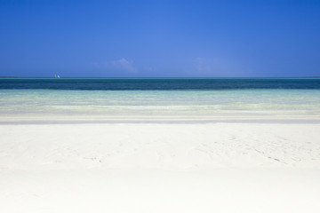 Fototapeta na wymiar clear sea, white sand and blue sky, carribean paradise, lot of c