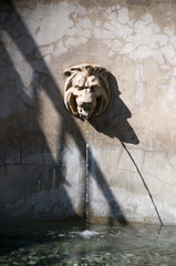Fototapeta na wymiar Fountain with Lion Head