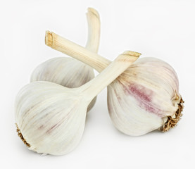 Чеснок спелый на белом фоне
