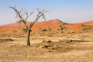 Namibia