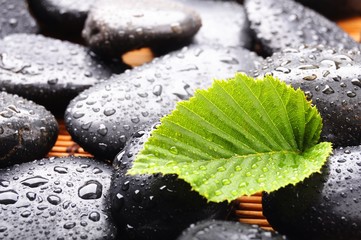 zen stone