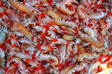 Crayfish Nephrops Norvegicus seafood market