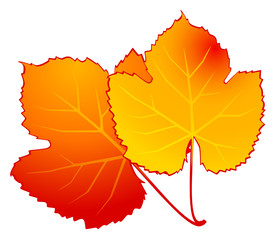 Background with autumnal leaves.