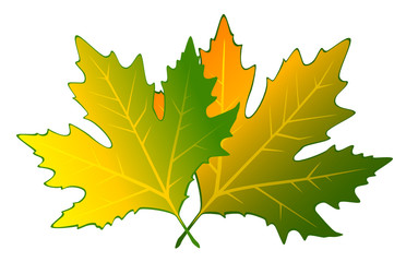 Background with autumnal leaves.