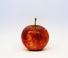 Apfel