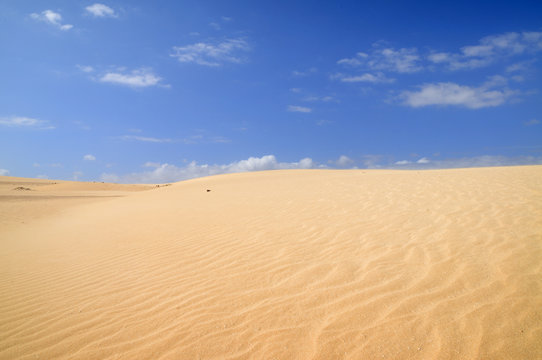 Desierto del Sahara © igoraul