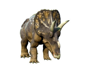 diceratops graze