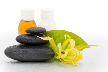 Concept Détente et Spa - Fleur Ylang-ylang et pierres zen