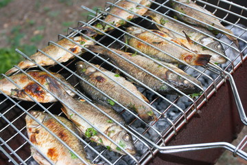 Grilled European carps