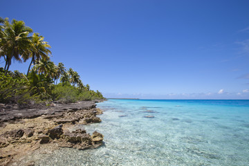 Fototapeta na wymiar Rafa i palmy na błękitne laguny