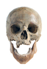 Skull of the person.