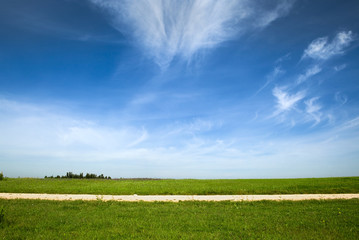 Green meadow